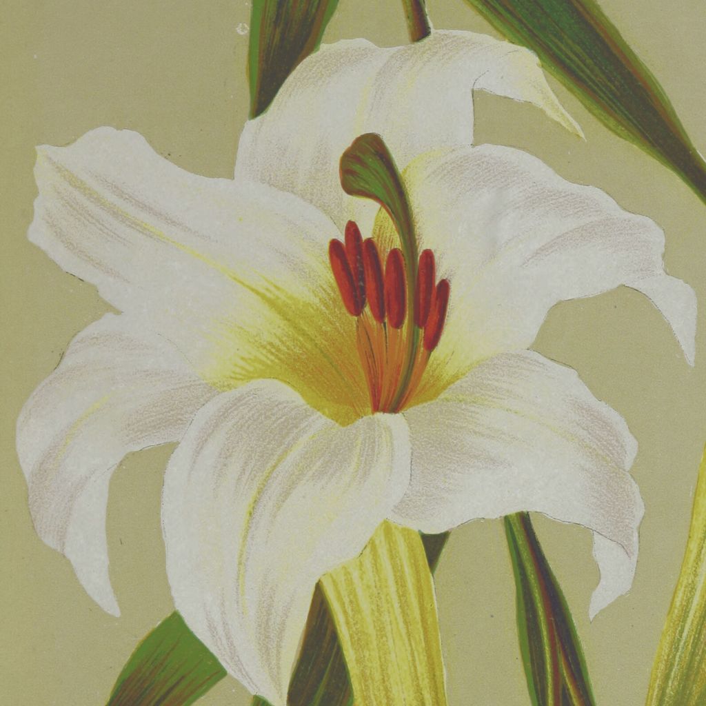 Sendy Ariani x Bloodlyne x New Sound Generation – Cinta Cinta&nbsp;Cinta