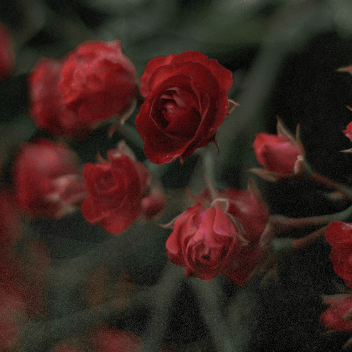 Elmand, New Sound Generation – Say&nbsp;Goodbye